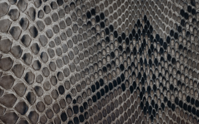 4 Pasos para Afrontar un Cambio